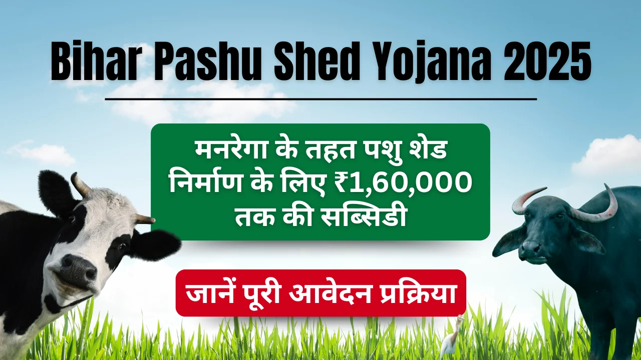 Bihar Pashu Shed Yojana 2025